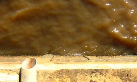 Dirty-Water